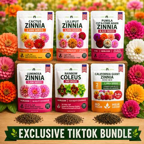 Zinnia Flower Seeds Variety Collection - California Giant, Cactus Mix, Lilliput, Pumila Cut & Come Again, Luminosa, Envy for Garden Planting