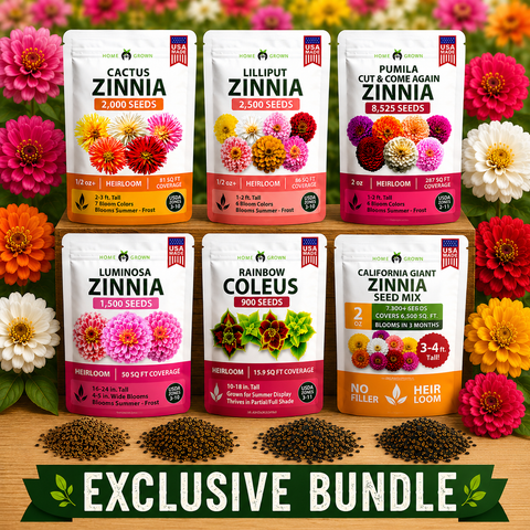 Zinnia Flower Seeds Variety Collection - California Giant, Cactus Mix, Lilliput, Pumila Cut & Come Again, Luminosa, Envy for Garden Planting