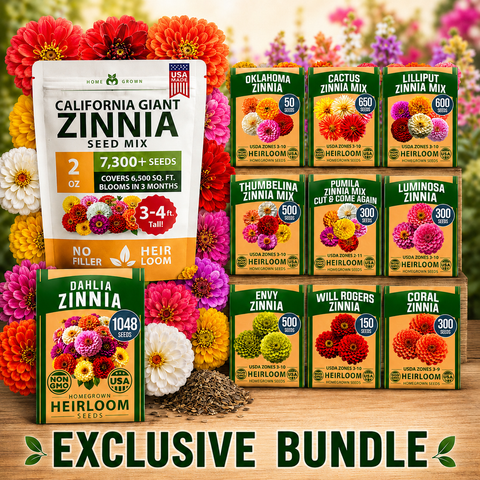 Zinnia Flower Seed Variety Collection – California Giant, Dahlia Mix, Oklahoma, Cactus, Lilliput, Thumbelina, Pumila Cut & Come Again, Luminosa, Envy, Will Rogers, Coral Garden Seeds
