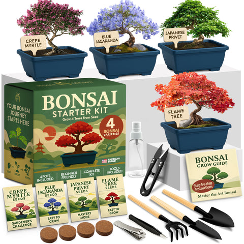 Bonsai Growing Kit – Complete Set with Seeds, Pots & Tools (4 Varieties)