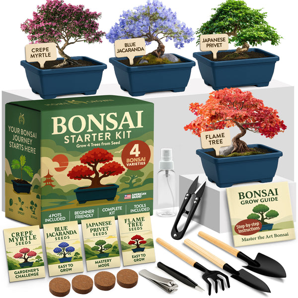bonsai seed growing Bonsai Growing Kit, 4 Varieties with Seeds, Pots & Tools