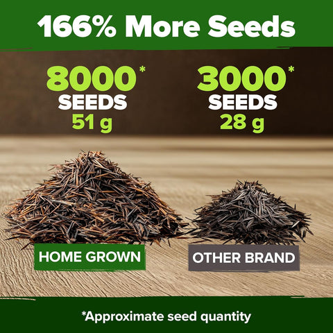 buy plant seeds in bulk Cosmos Seeds Bulk Pack, 8000 ct, Non-GMO Annual