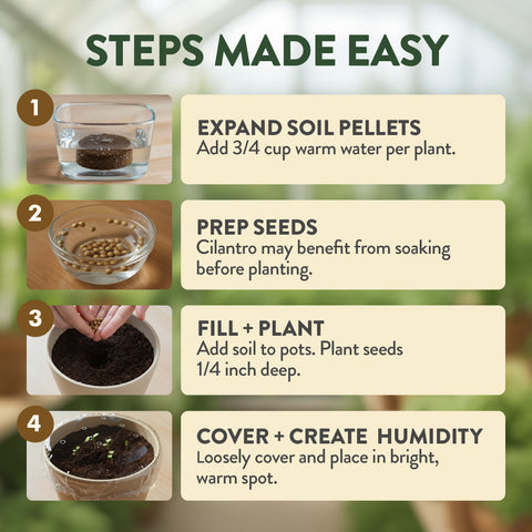 Indoor Herb Garden Kit – Beginner-Friendly Growing Set with Heirloom Seeds, Soil & Eco-Friendly Biodegradable Pots