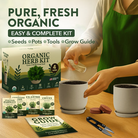 Organic Indoor Herb Garden Kit – Non-GMO Basil, Parsley, Cilantro & Thyme Grow Set with Pots, Soil, Tools & Guide