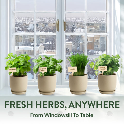 Organic Indoor Herb Garden Kit – Non-GMO Basil, Parsley, Cilantro & Thyme Grow Set with Pots, Soil, Tools & Guide