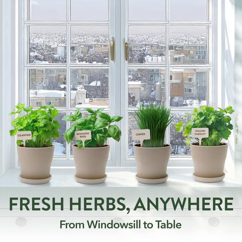 Indoor Herb Garden Kit – Beginner-Friendly Growing Set with Heirloom Seeds, Soil & Eco-Friendly Biodegradable Pots