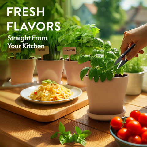 Indoor Herb Garden Kit – Beginner-Friendly Growing Set with Heirloom Seeds, Soil & Eco-Friendly Biodegradable Pots