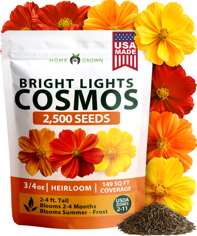 HOME GROWN Cosmos Bright Lights Mix Seeds – 2500 Seeds, Spring 2026, Cosmos sulphureus, Easy Grow Outdoor Wildflower Mix