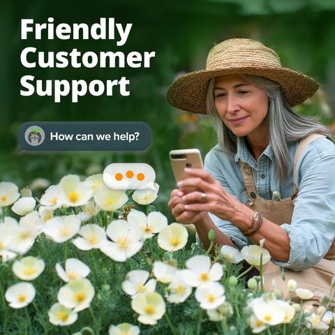 Home Grown California Poppy Ivory Castle – 2500 Seeds (3.3g), Spring 2026 Flower Seeds for Planting, Bulk Self-Seeding Blooms (Eschscholzia californica)