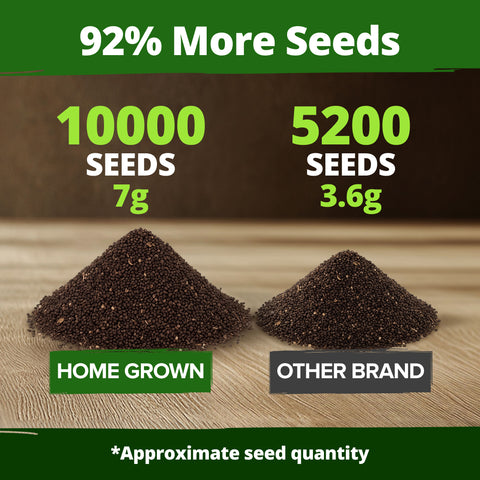 HOME GROWN Snapdragon Northern Lights Seeds, 10000 Flower Seeds for Planting 2026 Spring, Pastel Garden Blooms of Snap Dragon, Pollinator Friendly Outdoor Cut Flowers (Antirrhinum majus)