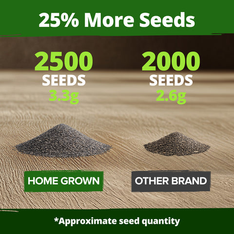 Home Grown California Poppy Ivory Castle – 2500 Seeds (3.3g), Spring 2026 Flower Seeds for Planting, Bulk Self-Seeding Blooms (Eschscholzia californica)