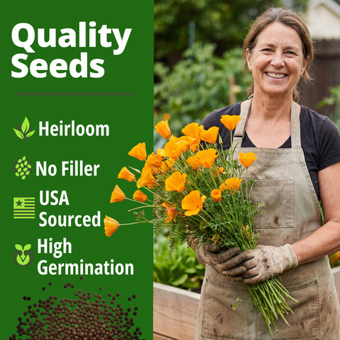 HOME GROWN California Poppy Golden West Seeds – 6000 Seeds for Spring 2026, Easy Grow Outdoor Flower Seeds, Eschscholzia cal…