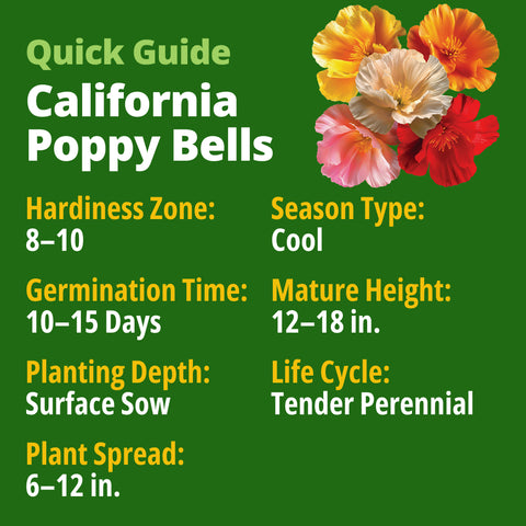 HOME GROWN California Poppy Mission Bells – 6000 Seeds (9g), Spring & Summer Flower Seeds, Drought Tolerant, Eschscholzia californica