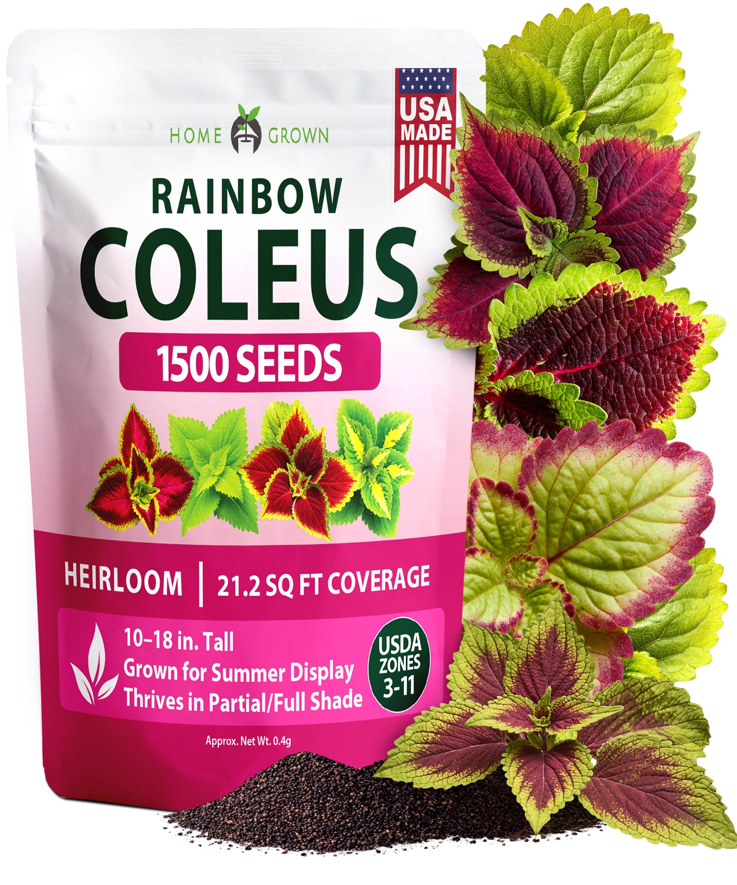 coleus plant seeds online HOME GROWN Coleus ‘Rainbow’ Seeds – 1500 Count (0.04 oz), Multicolor Foliage Plant for Containers & Shade Gardens (Coleus scutellarioides)