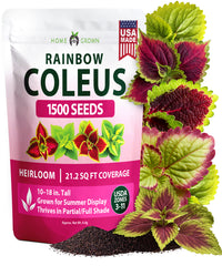 HOME GROWN Coleus ‘Rainbow’ Seeds – 1500 Count (0.04 oz), Multicolor Foliage Plant for Containers & Shade Gardens (Coleus scutellarioides)