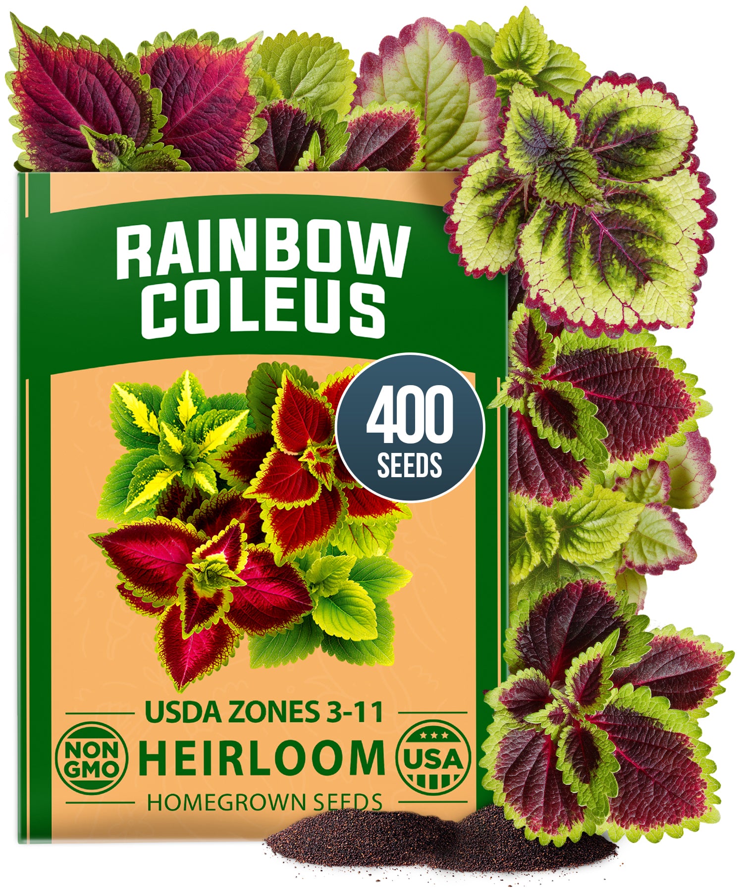 Coleus Rainbow Seeds, 400 ct, Multicolor Foliage