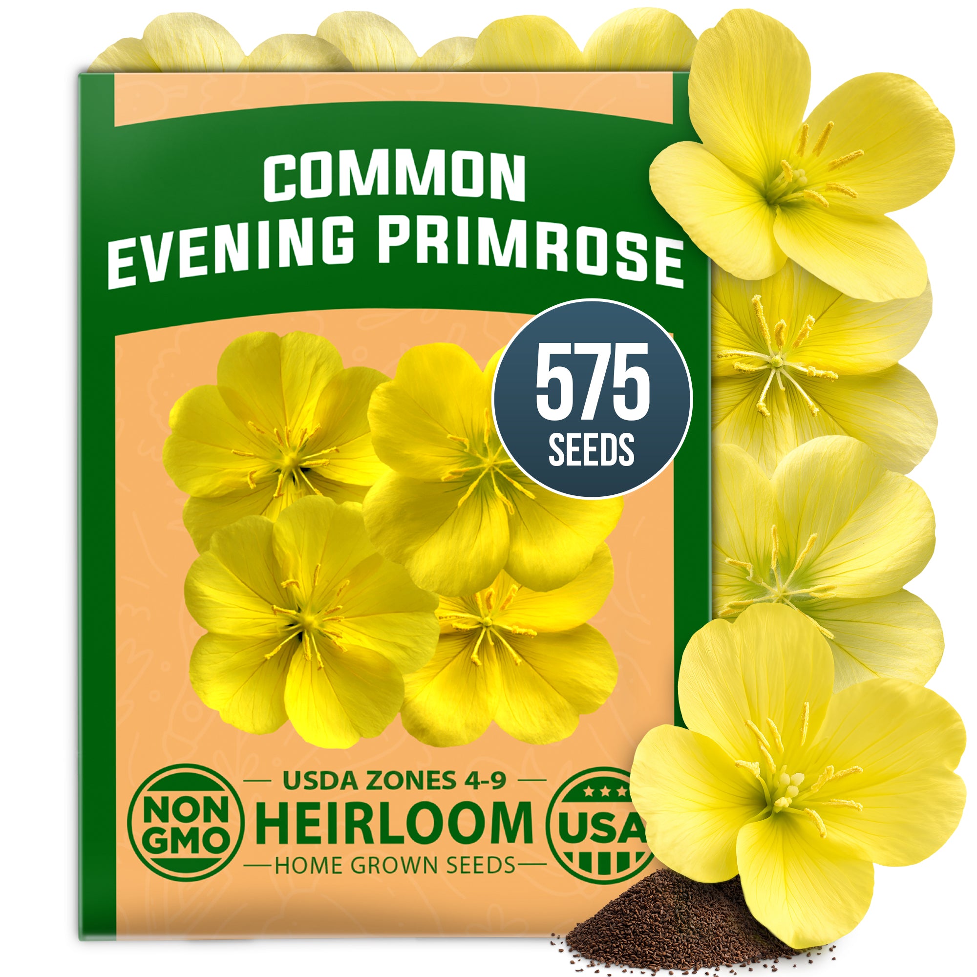 HOME GROWN Evening Primrose Seeds – 575 Heirloom Non-GMO Seeds (0.3g), Oenothera lamarckiana, Yellow Wildflowers for Pollinator Gardens, Zones 4–9