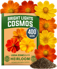 Bright Lights Cosmos Seeds - 400 Seeds - Easy-Grow Annual Mix