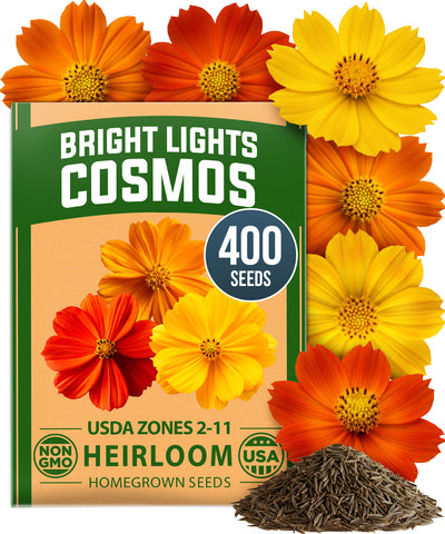 HOME GROWN Cosmos Bright Lights Mix Seeds – 400 Seeds for Spring 2026, Cosmos sulphureus, Easy Grow Outdoor Wildflower Mix
