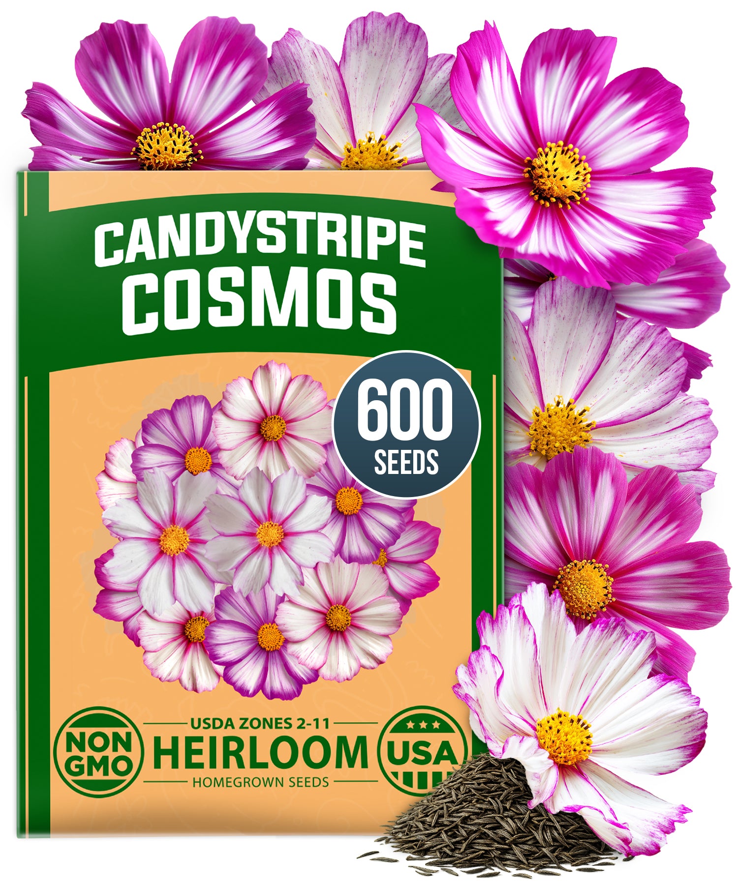 HOME GROWN Cosmos Candystripe Seeds – 600 Count 4g, Pink & White Heirloom Cosmos for Spring 2026, Wildflower Cut Flower Seeds