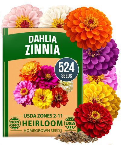 Zinnia Dahlia Seeds Mix - Bulk Pack 3.5g - 520+ Flower Seeds