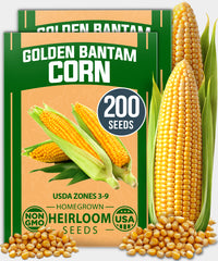 Golden Bantam Heirloom Corn Seeds 2 Pack – 200 Seeds