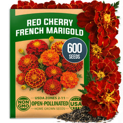 Red Cherry French Marigold Seeds - 600 Seeds - Bicolor Blooms