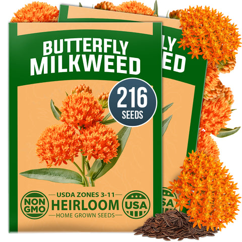 HOME GROWN Butterfly Milkweed Seeds (Asclepias tuberosa) – 216 Heirloom Non-GMO Seeds, Native Orange Wildflower, Monarch Host Plant, Pollinator Garden