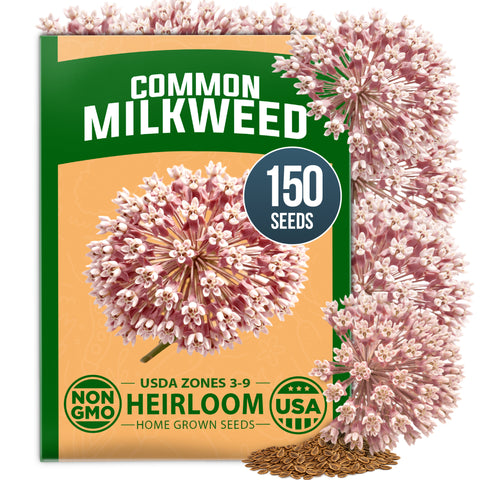 HOME GROWN Common Milkweed Seeds – 150 Heirloom Non-GMO Seeds (0.8g), Monarch Butterfly Host Plant, Pink Perennial Wildflowers, Zones 3–9