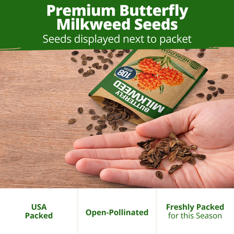 HOME GROWN Butterfly Milkweed Seeds (Asclepias tuberosa) – 108 Heirloom Non-GMO Seeds, Native Orange Wildflower, Monarch Host Plant, Pollinator Garden