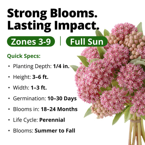 HOME GROWN Common Milkweed Seeds – 150 Heirloom Non-GMO Seeds (0.8g), Monarch Butterfly Host Plant, Pink Perennial Wildflowers, Zones 3–9