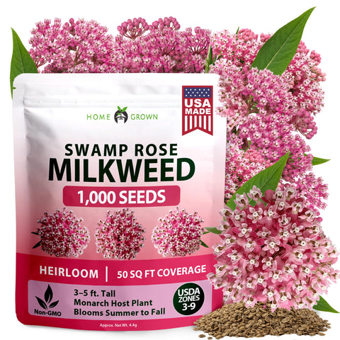 Swamp Rose Milkweed Seeds - 1,000 Seeds (4.4g) - Monarch Host Plant