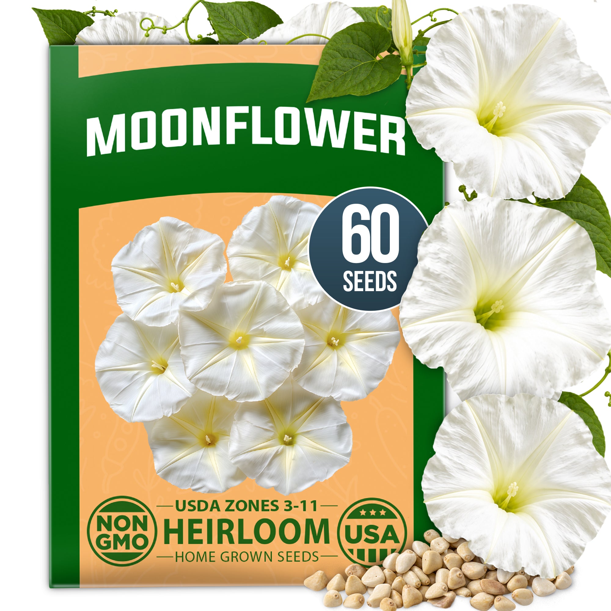 HOME GROWN Moonflower Vine 60 Flower Seeds, Ipomoea alba, Heirloom Non-GMO, Fragrant White Night-Blooming Flowers