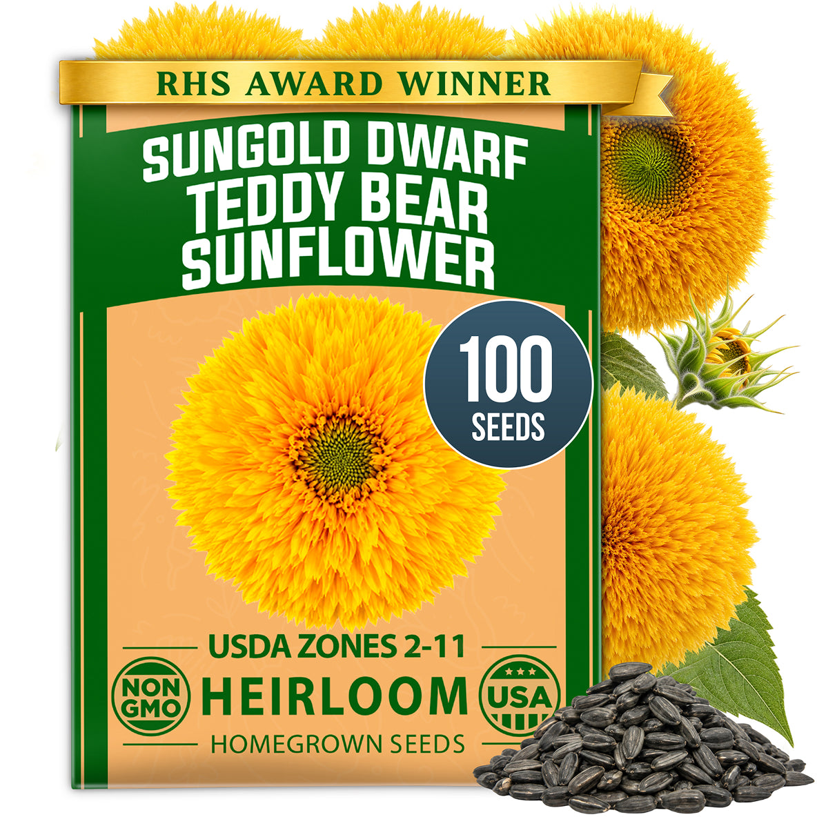 HOME GROWN Dwarf Teddy Bear Sunflower 100 Seeds, Helianthus annuus, Sungold Variety, Heirloom Non-GMO, Double Golden Blooms