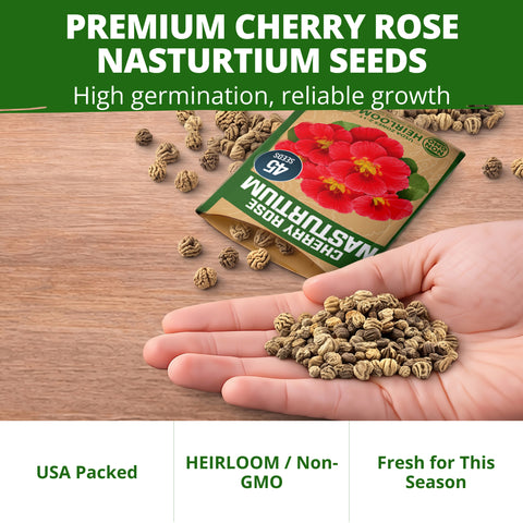 HOME GROWN Dwarf Nasturtium Cherry Rose 90 Seeds, Tropaeolum majus, Heirloom Non-GMO, Edible Cherry Rose Blooms, Compact Plants (Copy)