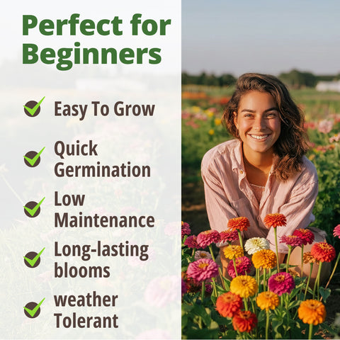 HOME GROWN Zinnia Lilliput Mix – 2500 Seeds (2g), Zinnia elegans for Spring 2026, Colorful Flowers for Beds, Containers & Cut Blooms