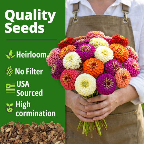 HOME GROWN Zinnia Lilliput Mix – 2500 Seeds (2g), Zinnia elegans for Spring 2026, Colorful Flowers for Beds, Containers & Cut Blooms