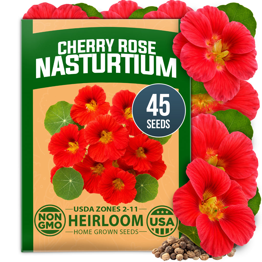 HOME GROWN Dwarf Nasturtium Cherry Rose 45 Seeds, Tropaeolum majus, Heirloom Non-GMO, Edible Cherry Rose Blooms, Compact Plants