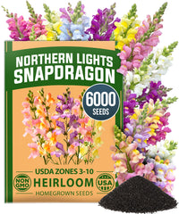 Northern Lights Snapdragon Seeds - 6,000 Seeds - Pastel Spikes