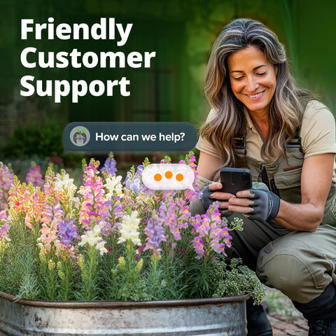 HOME GROWN Snapdragon Fairy Seeds – 10,000 Seeds for Spring 2026, Dwarf Long-Bloom Flowers for Garden Beds, Pollinator-Friendly Plants