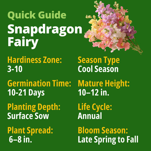 HOME GROWN Snapdragon Fairy Seeds – 10,000 Seeds for Spring 2026, Dwarf Long-Bloom Flowers for Garden Beds, Pollinator-Friendly Plants