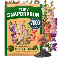 HOME GROWN Fairy Snapdragon Flower Seeds (Linaria maroccana) – 7,000 Heirloom Non-GMO Seeds, Compact Pastel Blooms, Pollinator-Friendly Cool Season Annual for Gardens