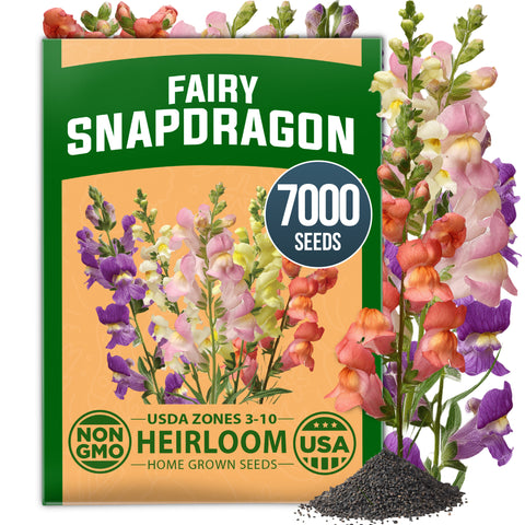 HOME GROWN Fairy Snapdragon Flower Seeds (Linaria maroccana) – 7,000 Heirloom Non-GMO Seeds, Compact Pastel Blooms, Pollinator-Friendly Cool Season Annual for Gardens