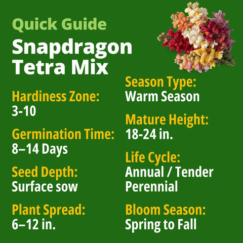 HOME GROWN Tetra Snapdragon Seeds for Planting, 4,000 Seeds (2,000 Each, 2 Pack), Antirrhinum majus