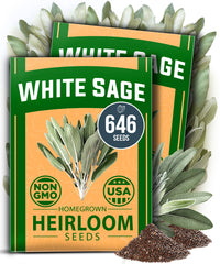 White Sage 2 Bulk Seeds Pack - 646 Non-GMO Heirloom Seeds