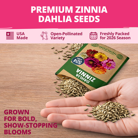 Zinnia Dahlia Seeds Mix - Bulk Pack 3.5g - 520+ Flower Seeds