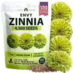 HOME GROWN Envy Zinnia Seeds (1g) – 4,300 Lime Green Zinnia elegans Seeds, Fast-Growing Heat-Loving Annual Flowers for 2026 Gardens