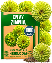 Envy Zinnia Seeds (1g) | 1000 Rare Lime Green Annual Zinnia Flower Seeds for Planting, Fast-Growing Heat-Loving Variety (Zinnia elegans)