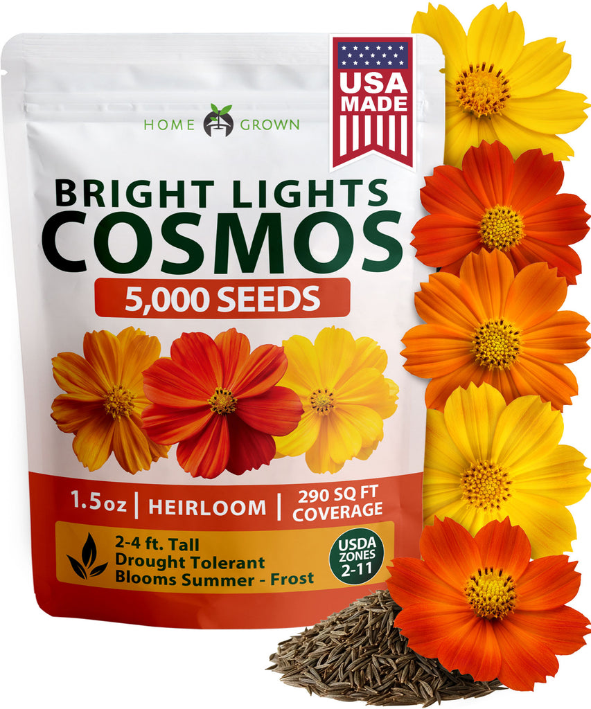 HOME GROWN Cosmos Bright Lights Mix Seeds – 5000 Cosmos sulphureus, Spring 2026 Flower Seeds for Planting, Easy Grow Outdoor Garden Mix