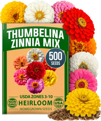 HOME GROWN Zinnia Thumbelina – 500 Seeds (1g), Dwarf Zinnia Flower Seeds for Planting Outdoors 2026, Easy Summer Blooms for Containers & Borders